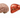 Hepatic Encephalopathy